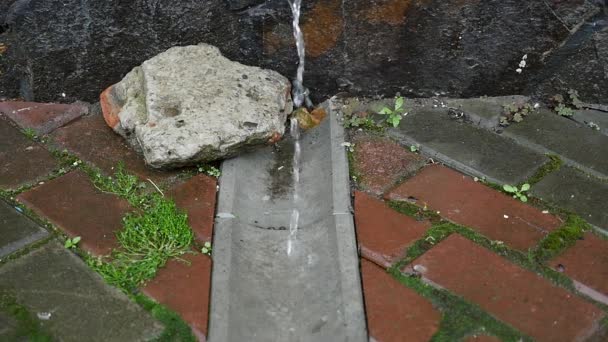 Поток воды сливается в водосточную трубу — стоковое видео