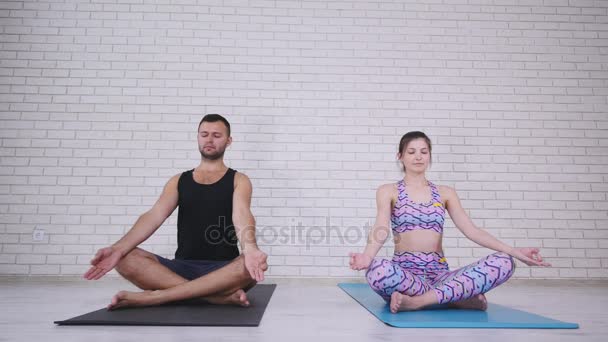 Couple faisant du yoga en studio — Video