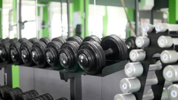 De nombreux haltères de fitness dans la salle de gym — Video