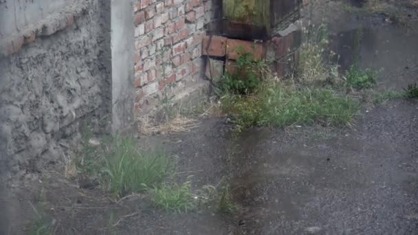 Primer plano de fuerte lluvia en la carretera Rain Road — Vídeos de Stock