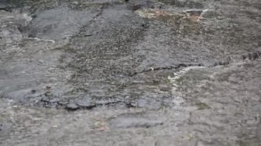 Ağır yağmur yağmur yol yolda closeup çekim