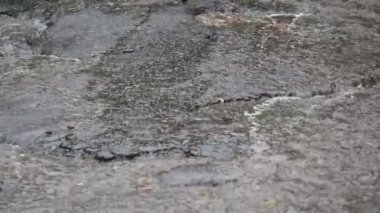 Ağır yağmur yağmur yol yolda closeup çekim