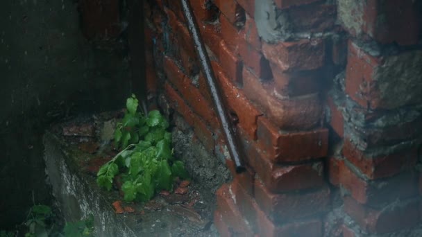 Closeup βολή του heavy rain στο δρόμο δρόμο βροχή — Αρχείο Βίντεο