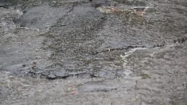 Gros plan de fortes pluies sur la route Rain Road 