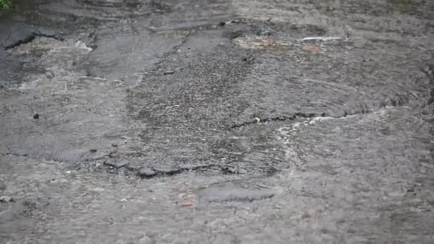 Detailní záběr ze silného deště na silnici déšť Road — Stock video