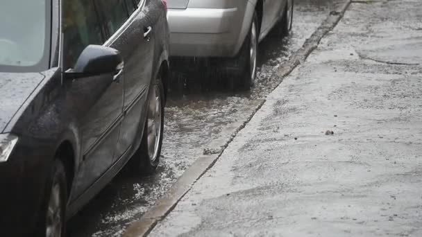 雨の道路で大雨のクローズ アップ ショット — ストック動画