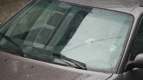 Conducir un coche. Gotas de lluvia cayendo sobre el parabrisas. Limpieza de limpiaparabrisas. Día lluvioso, ciudad, parque. Cámara exterior — Vídeos de Stock