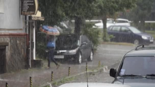 Gros plan de fortes pluies sur la route Rain Road — Video