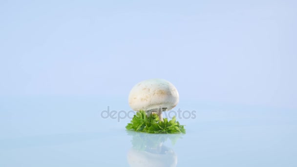 Cogumelos brancos no fundo branco — Vídeo de Stock