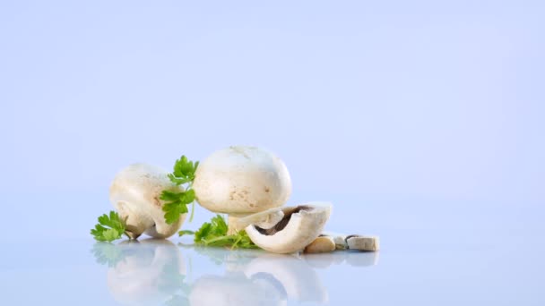 White mushrooms on white background — Stock Video