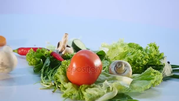 Stor grupp av grönsaker på vit bakgrund — Stockvideo