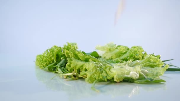 Gran grupo de verduras que caen sobre fondo blanco — Vídeos de Stock