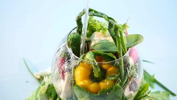 Grande gruppo di verdure su un vaso su sfondo bianco — Video Stock