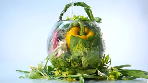 Grande gruppo di verdure su un vaso su sfondo bianco — Video Stock