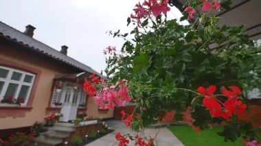 Özel ev dış, Yelkeni yukarı