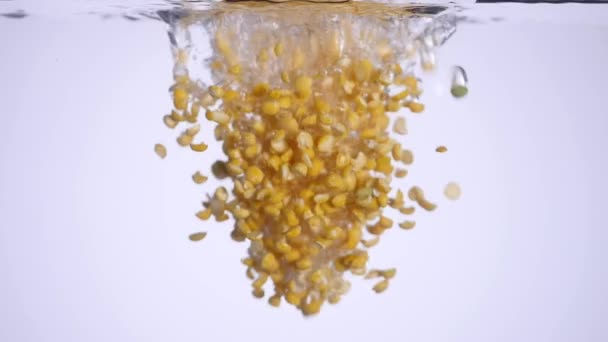 エンドウ豆は、水を沸騰します。 — ストック動画