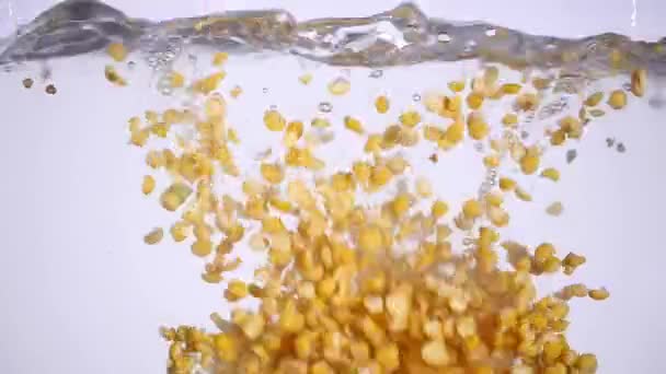 エンドウ豆は、水を沸騰します。 — ストック動画