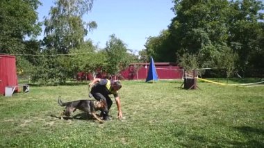 Bir köpek eğitim genç bir adam. ağır çekim