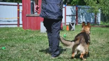 Genç bir adam bir köpek eğitim