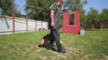 Açık havada çalışan köpek eğitim
