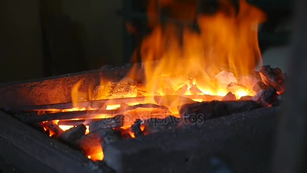 Blacksmith forges iron in fire and corrects coals — Stock Video