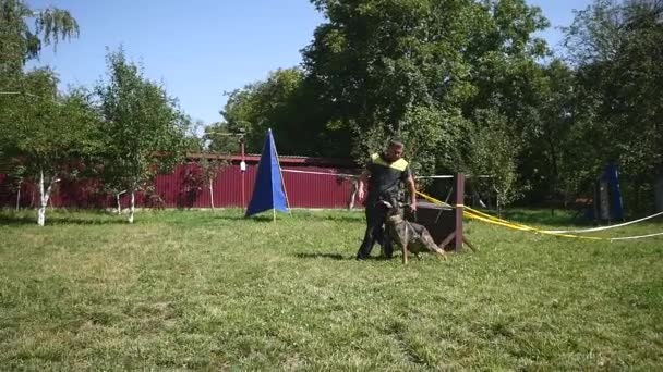 Hombre y mascota, entrenador de perros haciendo ejercicio con pastor alemán — Vídeo de stock