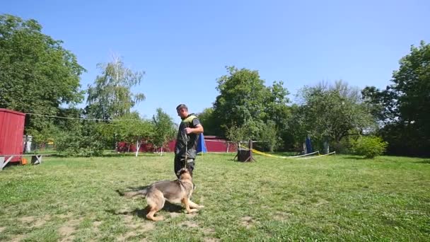 Молодой человек дрессирует собаку — стоковое видео