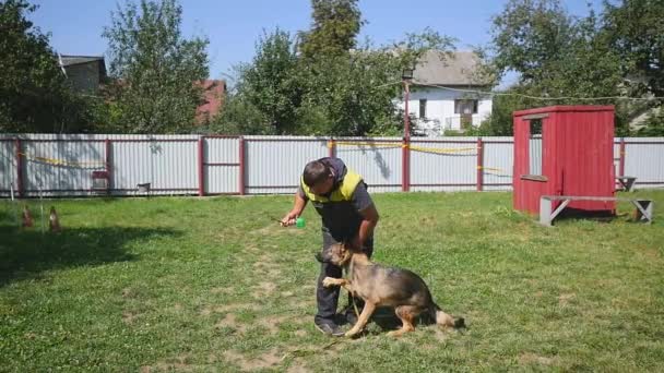 Formación de perros de trabajo al aire libre — Vídeo de stock