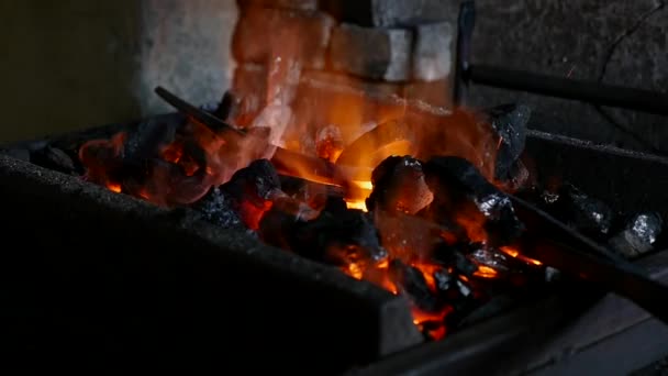 Carbón con fuego ardiente y hierro — Vídeo de stock