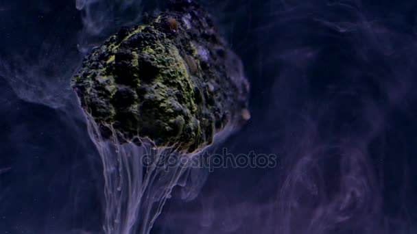 Abstracte vloeiende inkt in water met steen — Stockvideo