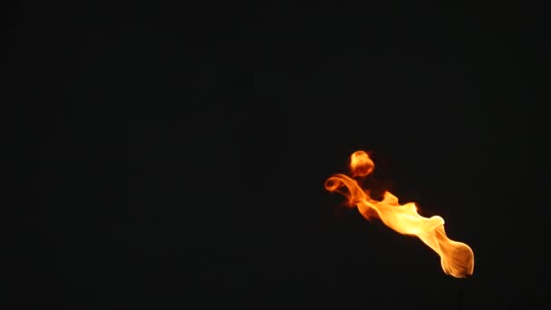 Waving fire torch in front of camera, on black background — Stock Video