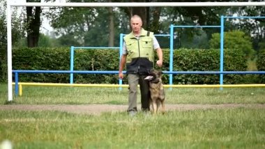 Biri ile Alman çoban köpek eğitmeni çimenlerin üzerinde yaz gün devam ediyor.