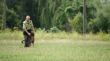 Köpek eğitmeni ile Alman çoban yaz gününde çimenlerin üzerinde çalışan adamdır