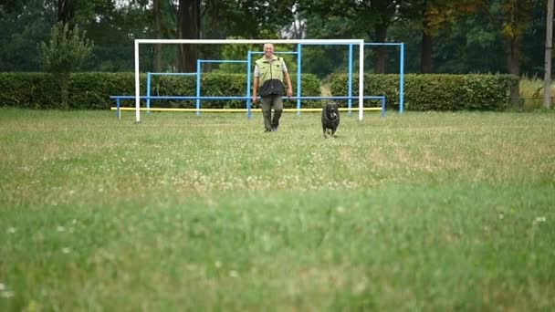 Cão de treino. Homem ensinando comandos seu pastor alemão — Vídeo de Stock