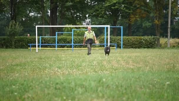Dressage De Chien Enseigner Lhomme Ordonne Son Berger Allemand