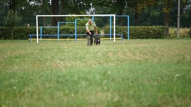 Perro de entrenamiento. El hombre enseñando manda a su pastor alemán — Vídeos de Stock