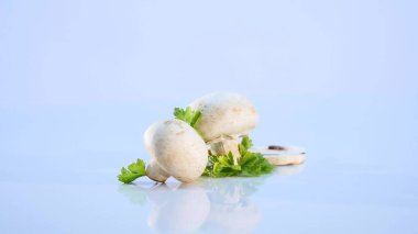 Beyaz arka planda beyaz mantarlar