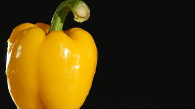 siyah zemin üzerine sarı dolmalık biber