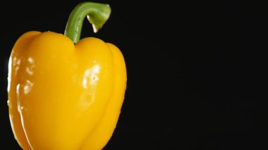 siyah zemin üzerine sarı dolmalık biber