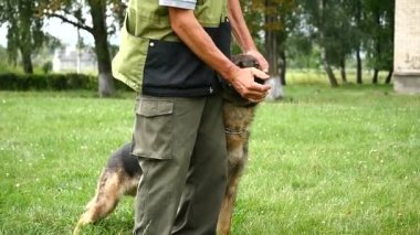 Adam ve evde beslenen hayvan, beslenme ve egzersiz ile Alman çoban köpek eğitmeni