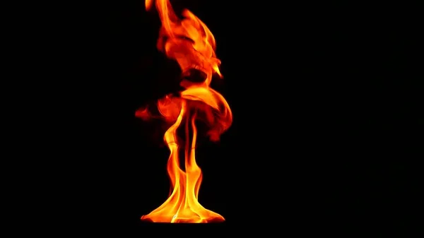 Tongues flame on a black background, slow motion — Stock Photo, Image