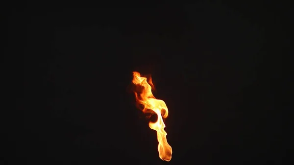 在黑色背景上的垂直单火炬火焰 — 图库照片