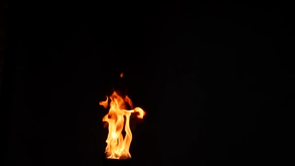 Langues flamme sur un fond noir — Video