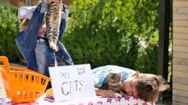 Çocuk yavru kedi yakınındaki ev satmak