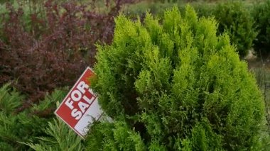 ağaç üzerinde Satılık işareti