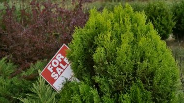 ağaç üzerinde Satılık işareti