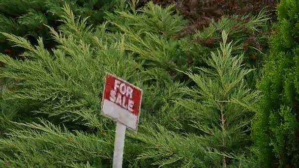 Teken voor verkoop op de boom — Stockvideo