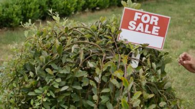 ağaç üzerinde Satılık işareti