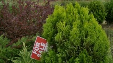 ağaç üzerinde Satılık işareti