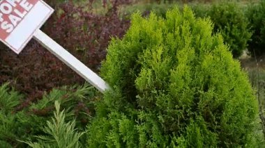 ağaç üzerinde Satılık işareti